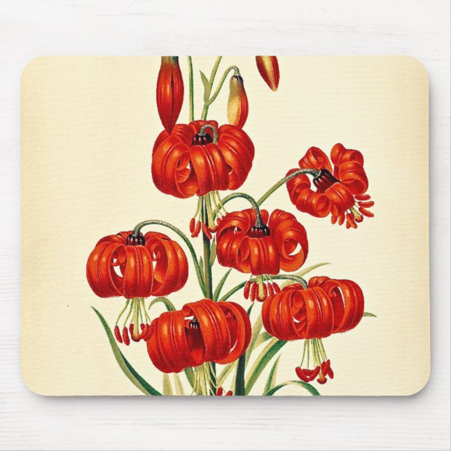 Alfombrilla De Ratón Pompone Red Lily Vintage Botanical (Frente)