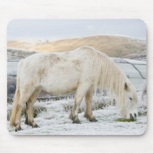 Alfombrilla De Ratón Poni Fell blanco en páramo en invierno