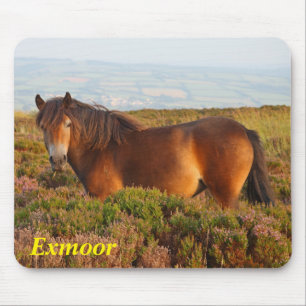 Alfombrilla De Ratón Pony de exmoor, caballo, Somerset, Inglaterra