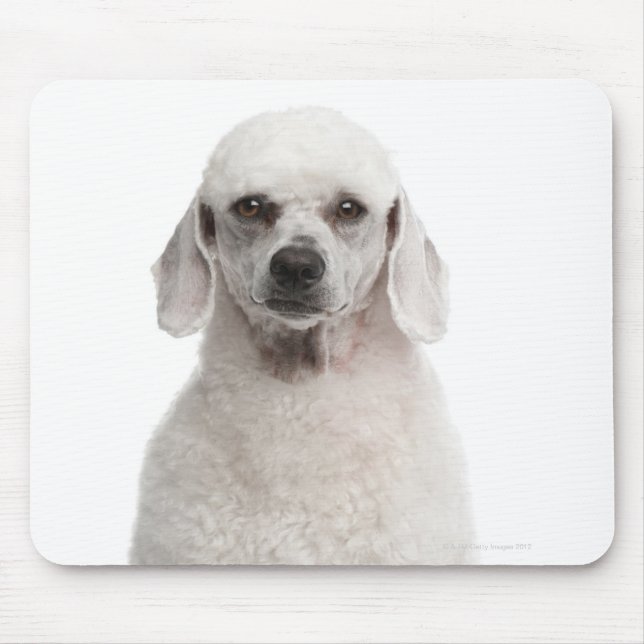 Alfombrilla De Ratón Poodle (1 año de edad) (Frente)