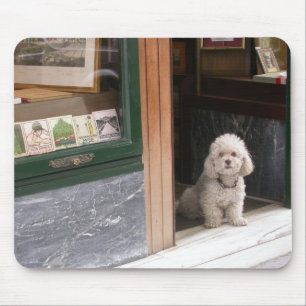 Alfombrilla De Ratón Poodle de enano blanco