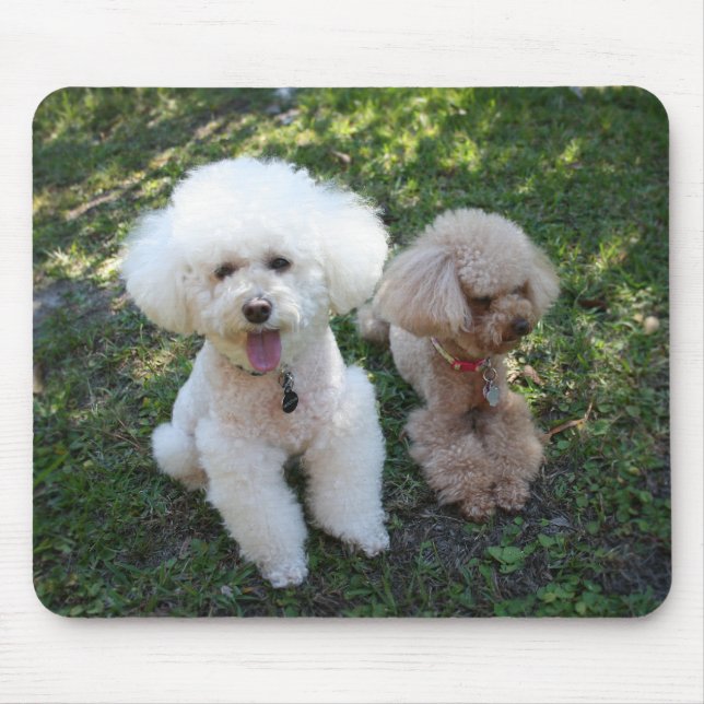 Alfombrilla De Ratón Poodles (Frente)