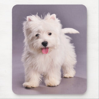 Alfombrilla De Ratón Popa westie
