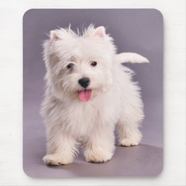Alfombrilla De Ratón Popa westie (Frente)
