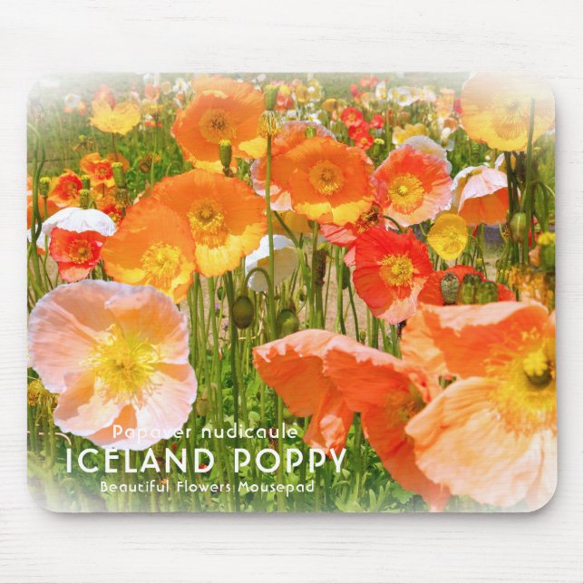 Alfombrilla De Ratón Poppy de Islandia (Frente)