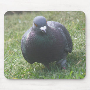 Alfombrilla De Ratón Posando Mousepad de pichón
