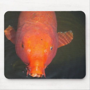 Alfombrilla De Ratón Postal de pescado Naranja Koi