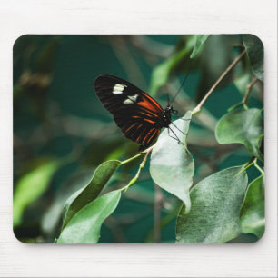 Alfombrilla De Ratón Postman 184 Mousepad