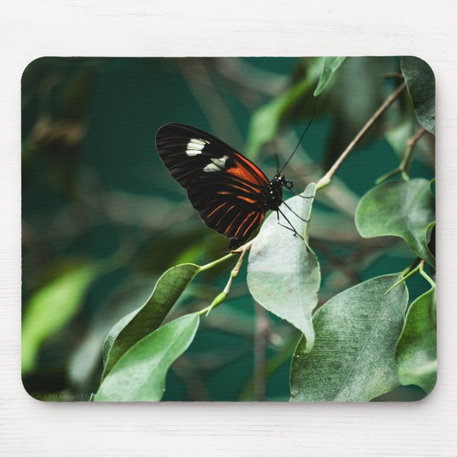 Alfombrilla De Ratón Postman 184 Mousepad (Frente)