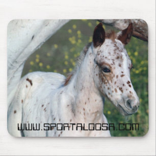 Alfombrilla De Ratón Potra del leopardo