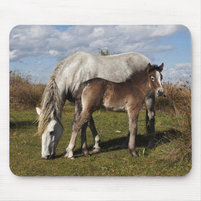 Alfombrilla De Ratón Potro de caballo Camargue con madre (Frente)