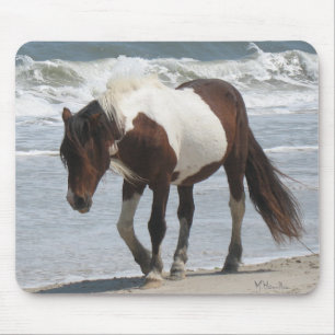 Alfombrilla De Ratón Potro de la isla de Assateague