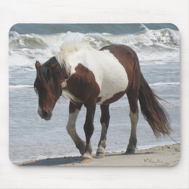 Alfombrilla De Ratón Potro de la isla de Assateague (Frente)