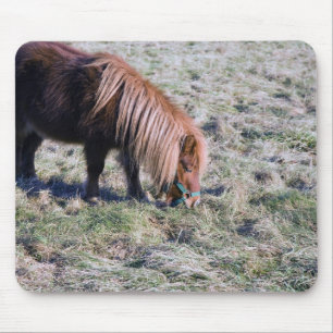 Alfombrilla De Ratón Potro lindo que pasta en el prado