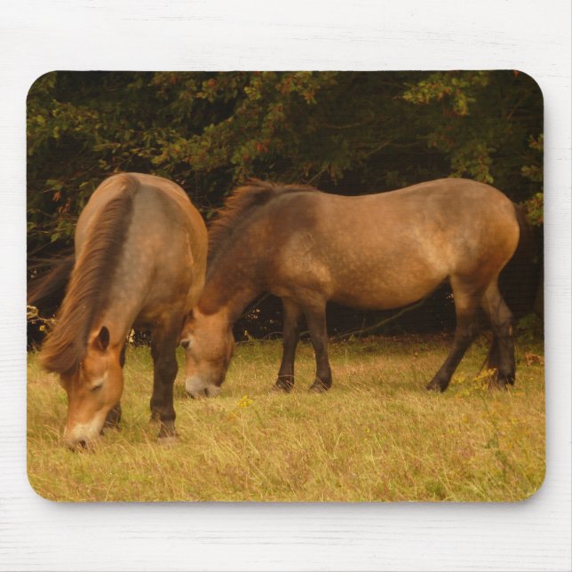 Alfombrilla De Ratón Potros Mousepad de Exmoor (Frente)