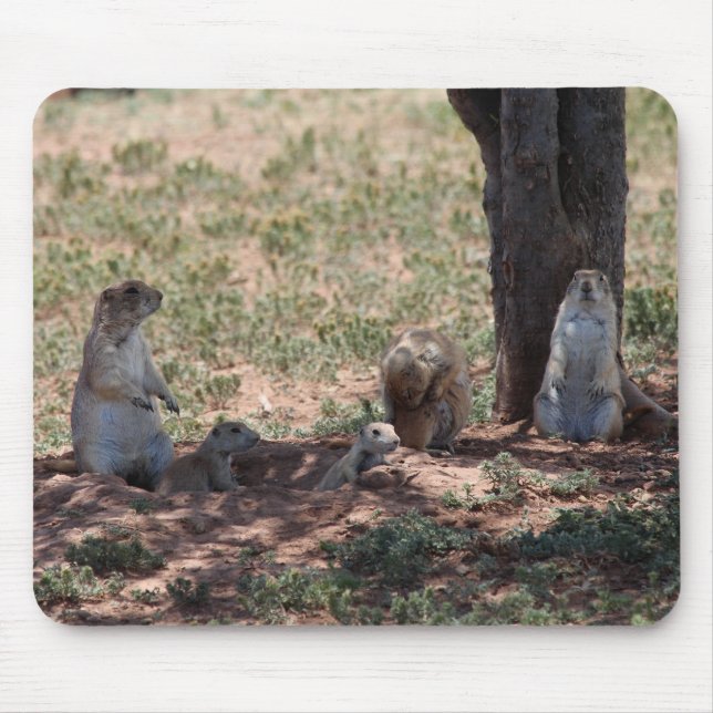Alfombrilla De Ratón Prairie Dog Family (Frente)