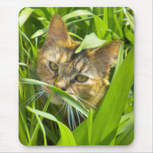 Alfombrilla De Ratón Preciosa Jungle Kitty Mouse Pad