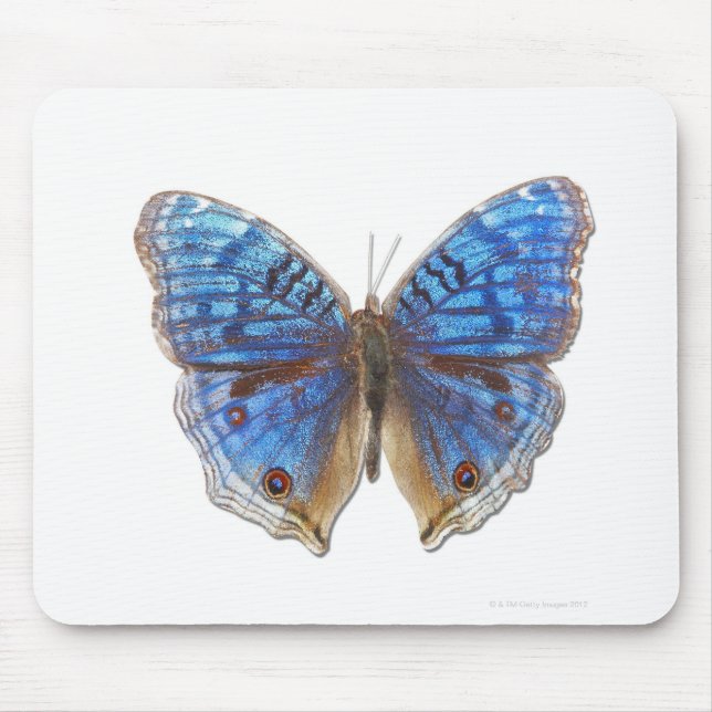 Alfombrilla De Ratón Precis Rhadama (Frente)