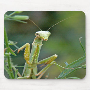 Alfombrilla De Ratón Predicador 475 Mousepad