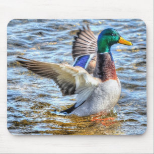 Alfombrilla De Ratón Preening Mallard Duck Birdlover Wildlife