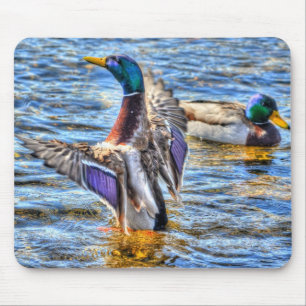 Alfombrilla De Ratón Preening Mallard Duck Birdlover Wildlife