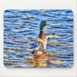 Alfombrilla De Ratón Preening Mallard Duck Birdlover Wildlife