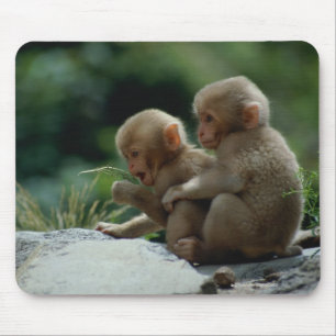 Alfombrilla De Ratón Prefectura de Nagano, Japón