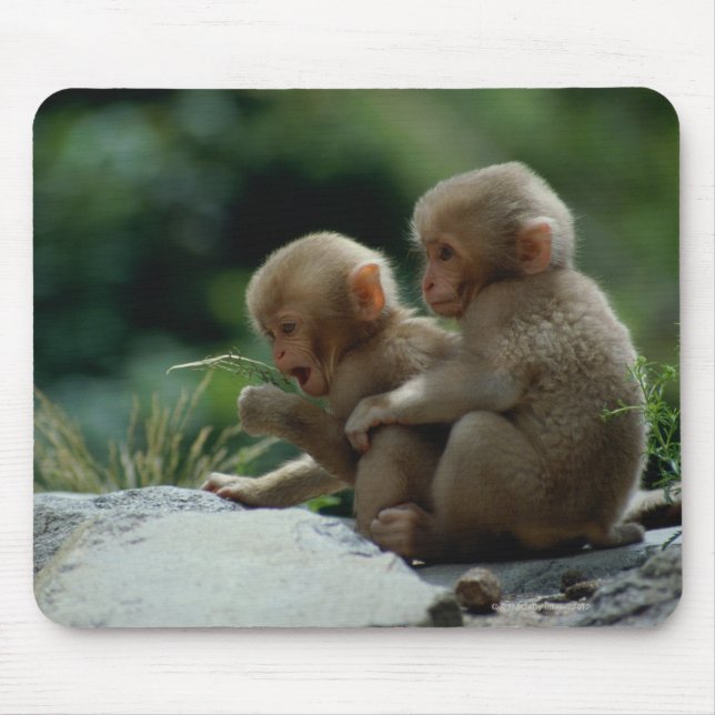 Alfombrilla De Ratón Prefectura de Nagano, Japón (Frente)