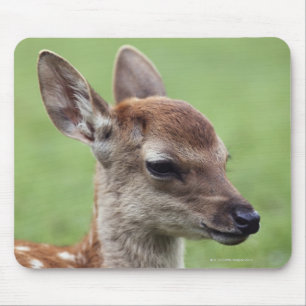 Alfombrilla De Ratón Prefectura de Nara, Honshu, Japón