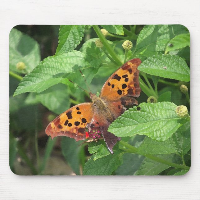 Alfombrilla De Ratón Pregunta Mark Butterfly sobre Lantana (Frente)