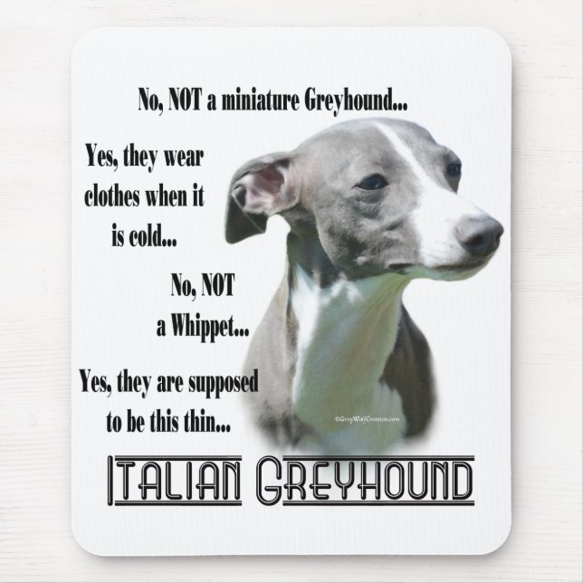 Alfombrilla De Ratón Preguntas frecuentes sobre Greyhound en Italia (Frente)