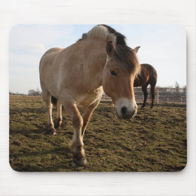 Alfombrilla De Ratón Primavera (Frente)