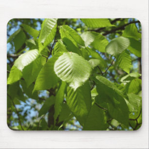 Alfombrilla De Ratón Primavera Birch deja el árbol verde