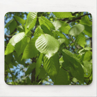 Alfombrilla De Ratón Primavera Birch deja el árbol verde