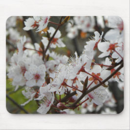 Alfombrilla De Ratón Primavera en Canberra