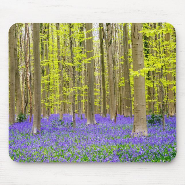 Alfombrilla De Ratón Primavera en el bosque azul (Frente)
