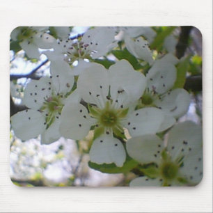 Alfombrilla De Ratón Primavera en flor