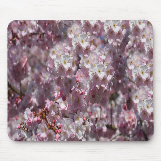 Alfombrilla De Ratón Primavera en Rosa (Frente)