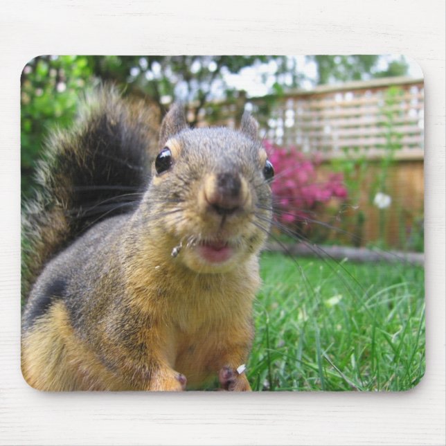 Alfombrilla De Ratón Primer de la ardilla (Frente)
