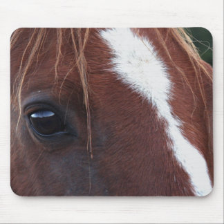 Alfombrilla De Ratón Primer de la cara del caballo