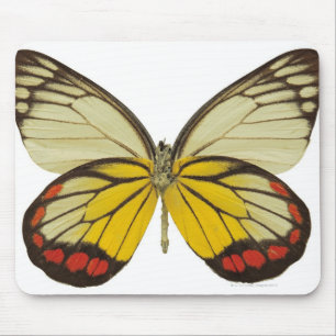 Alfombrilla De Ratón Primer de una mariposa 3