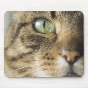 Alfombrilla De Ratón Primer del gato (foco en ojo)