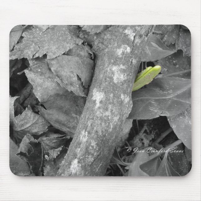 Alfombrilla De Ratón Primera señal de primavera (Frente)