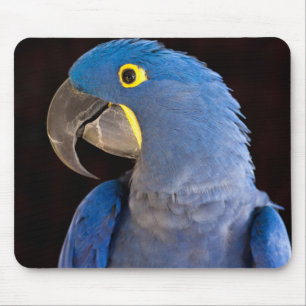 Alfombrilla De Ratón Princesa Tara Mousepad