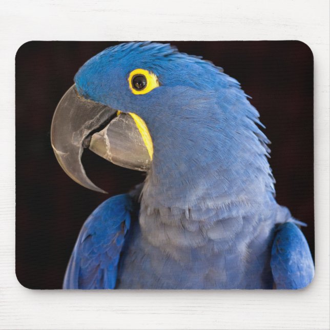 Alfombrilla De Ratón Princess Tara Mousepad (Frente)