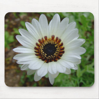 Alfombrilla De Ratón Príncipe blanco margarita del Zulú