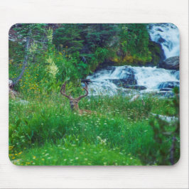 Alfombrilla De Ratón Príncipe de la Selva