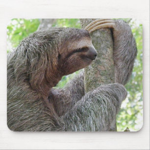 Alfombrilla De Ratón Producto del personalizar