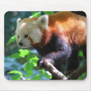 Alfombrilla De Ratón Producto del personalizar