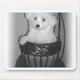 Alfombrilla De Ratón Productos de MaltiPoo